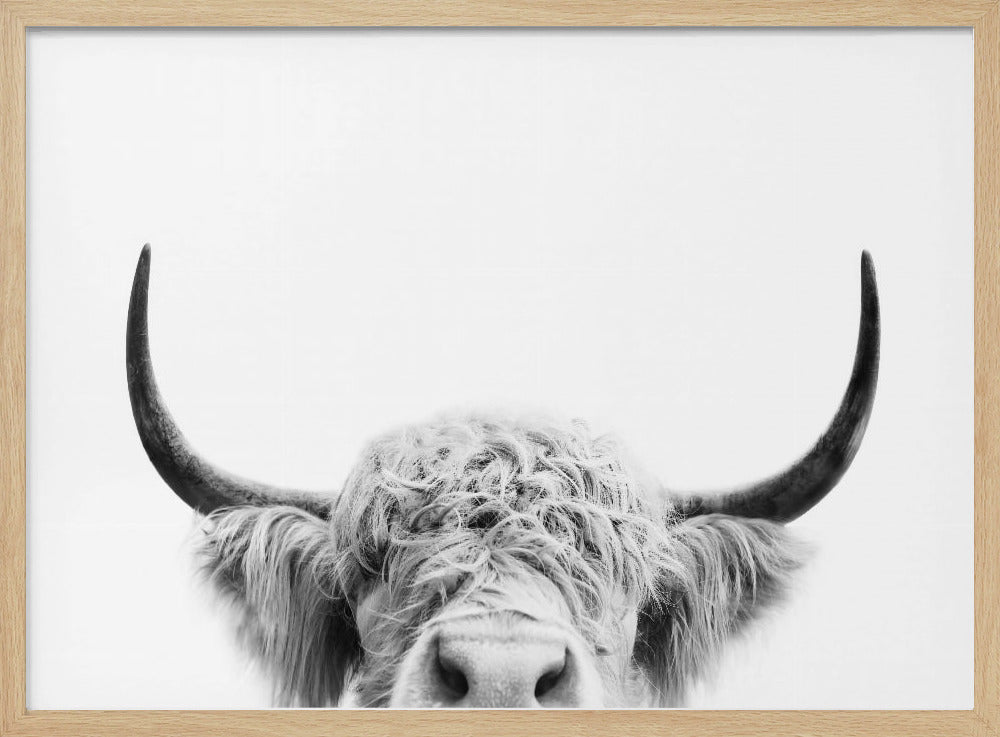 Spähende Kuh BW | Poster