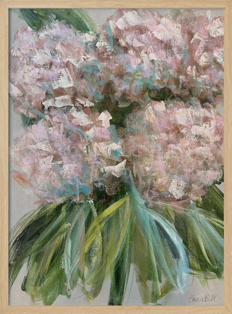 Rosa Hortensien mit grünen Blättern | Poster