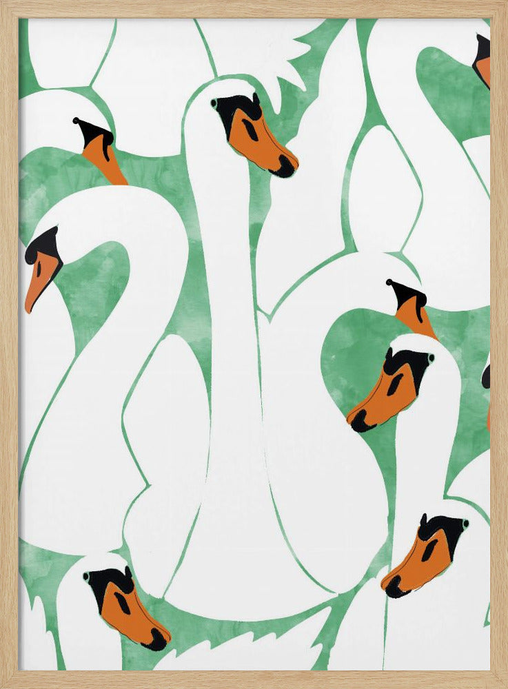 Anmutige Schwäne | Poster