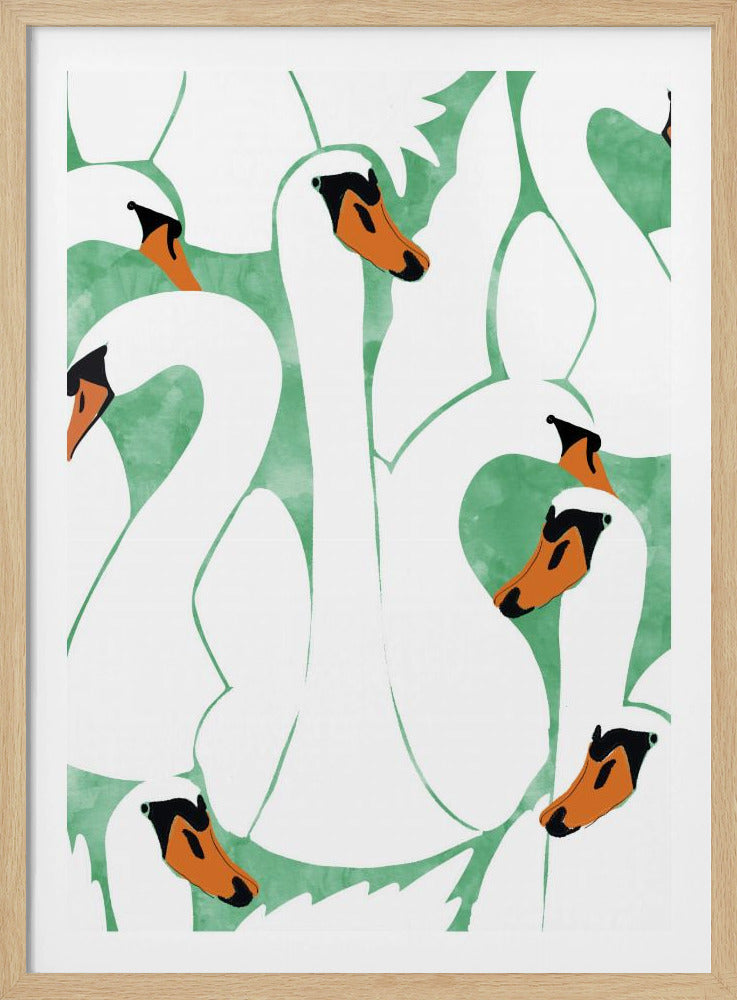 Anmutige Schwäne | Poster