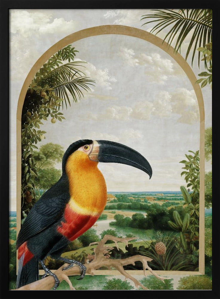 Tukan auf einem Ast | Poster