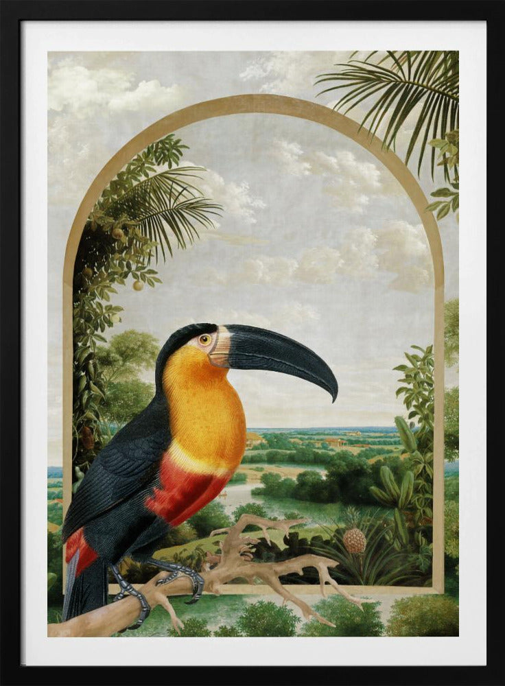 Tukan auf einem Ast | Poster