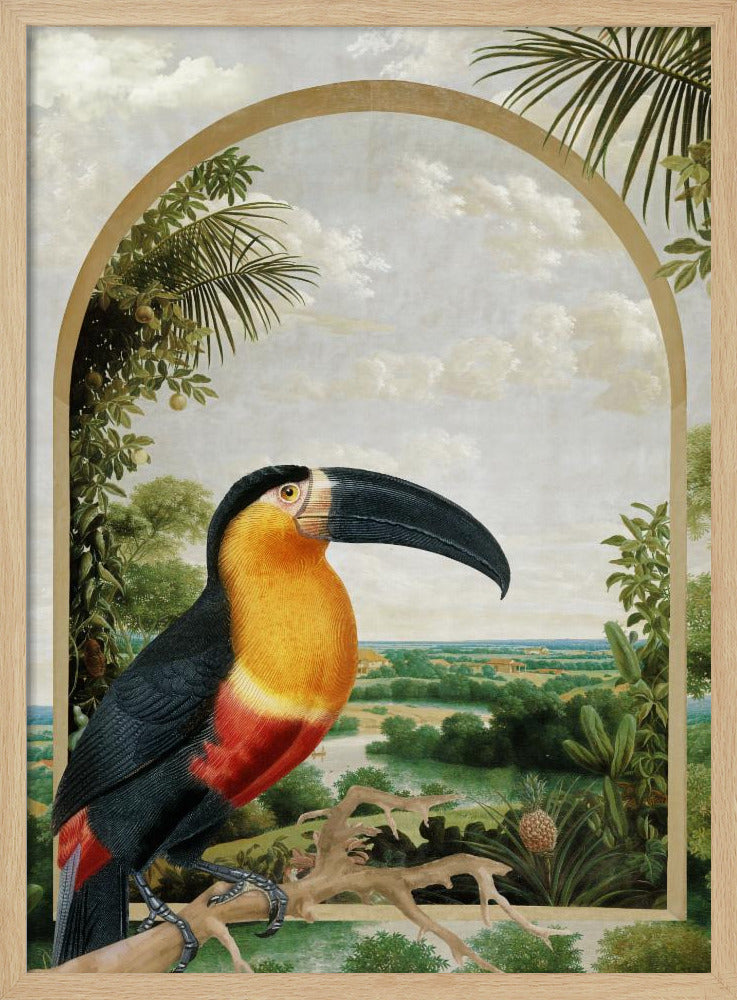 Tukan auf einem Ast | Poster