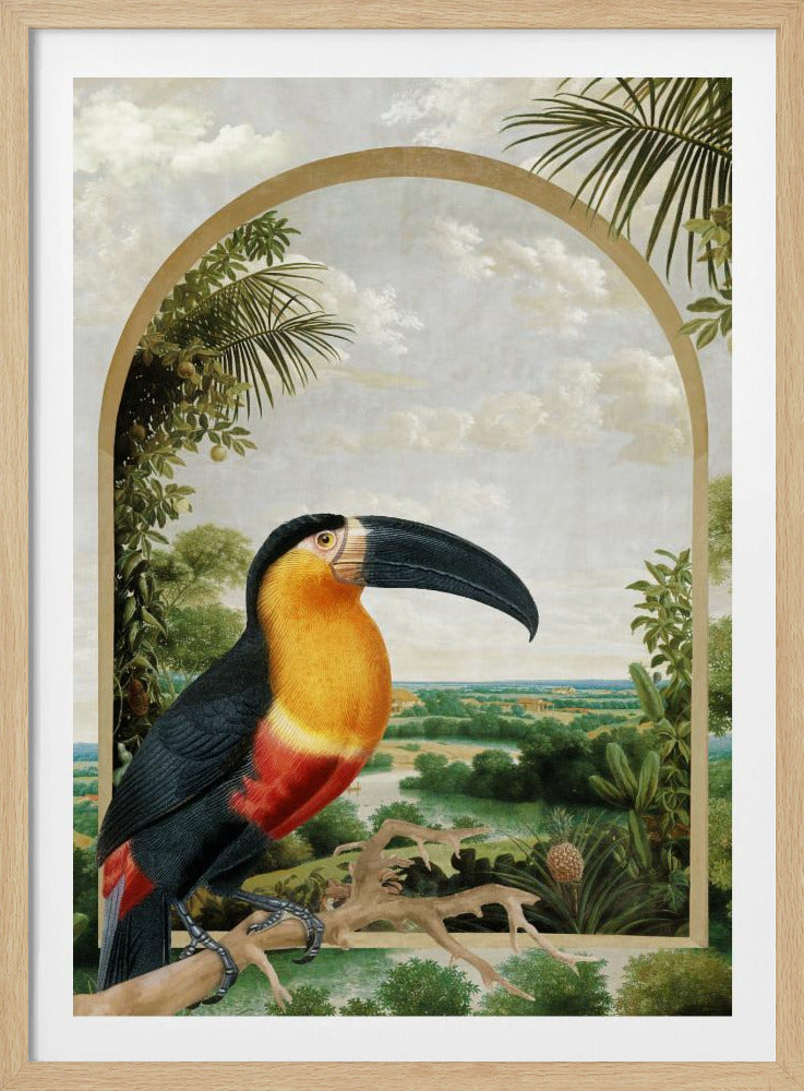 Tukan auf einem Ast | Poster