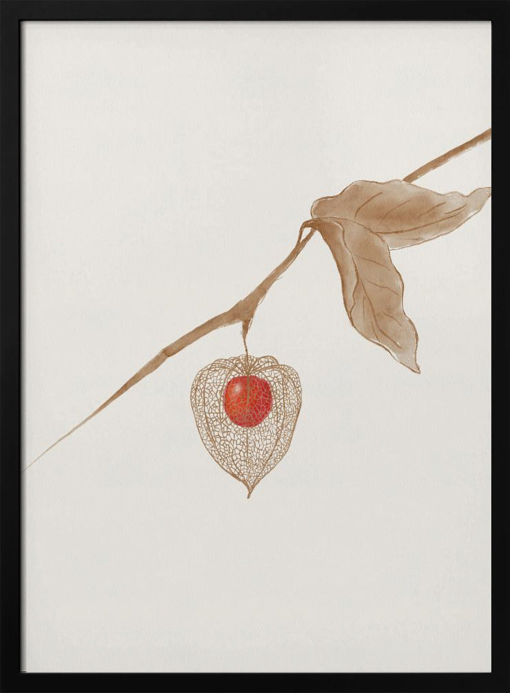 Erdkirsche | Poster