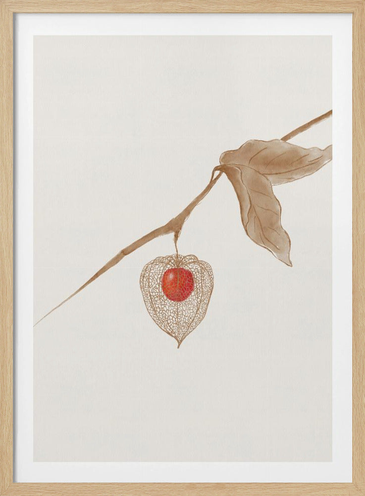 Erdkirsche | Poster