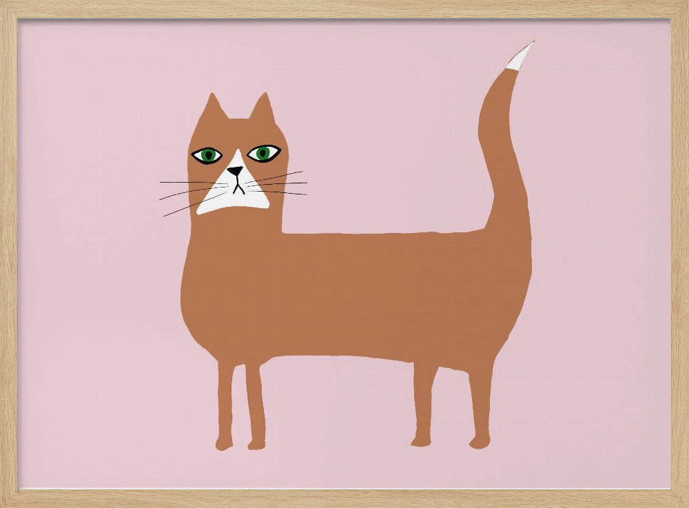 Katze Ingwer Orange | Poster