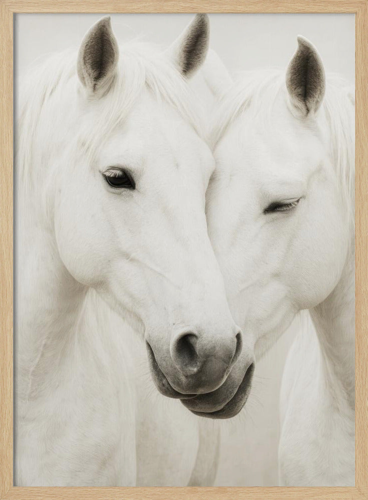 Pferdeumarmung | Poster