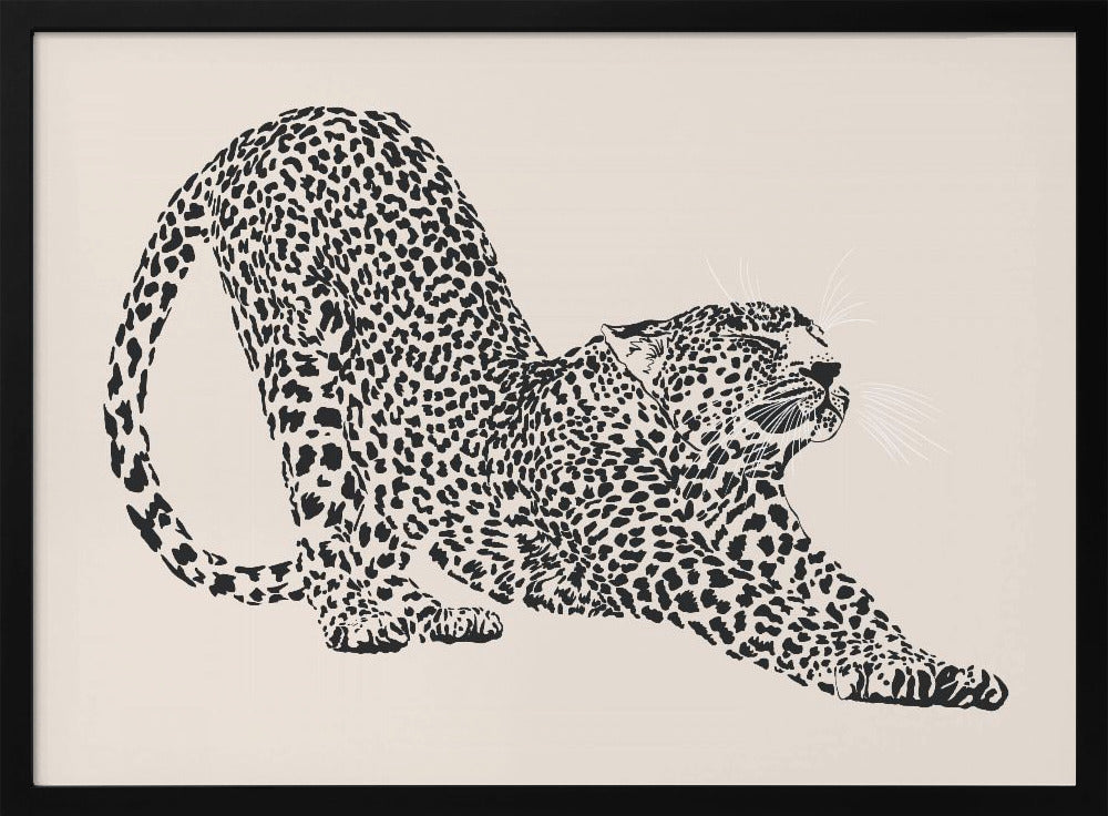 Cheetah | Poster