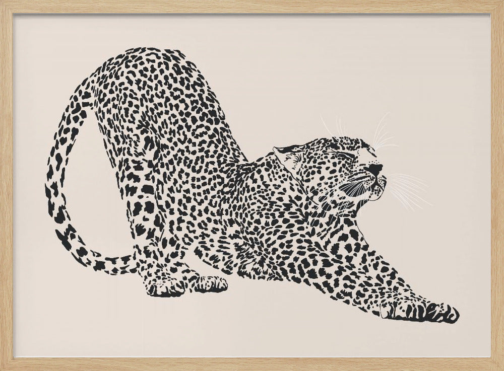 Cheetah | Poster