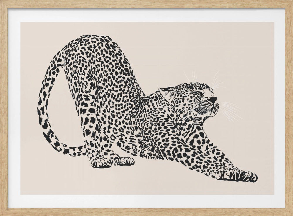 Cheetah | Poster