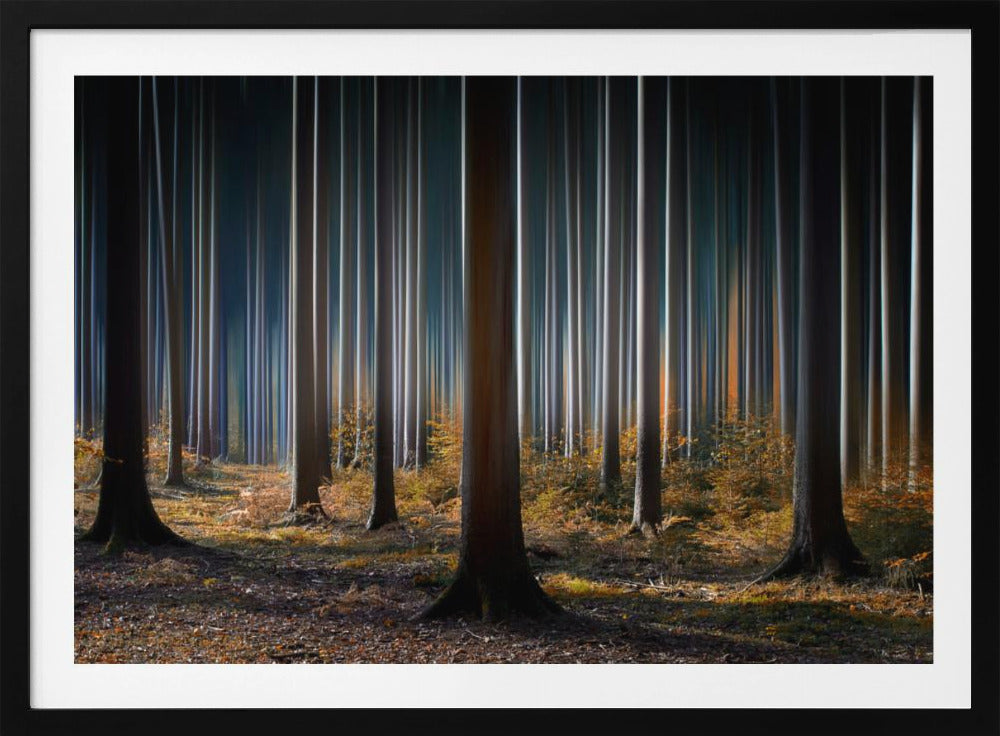 Mystischer Wald | Poster