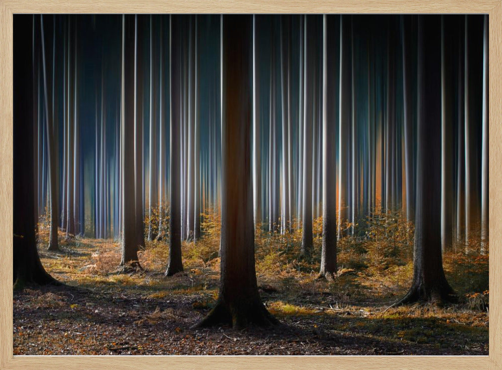 Mystischer Wald | Poster