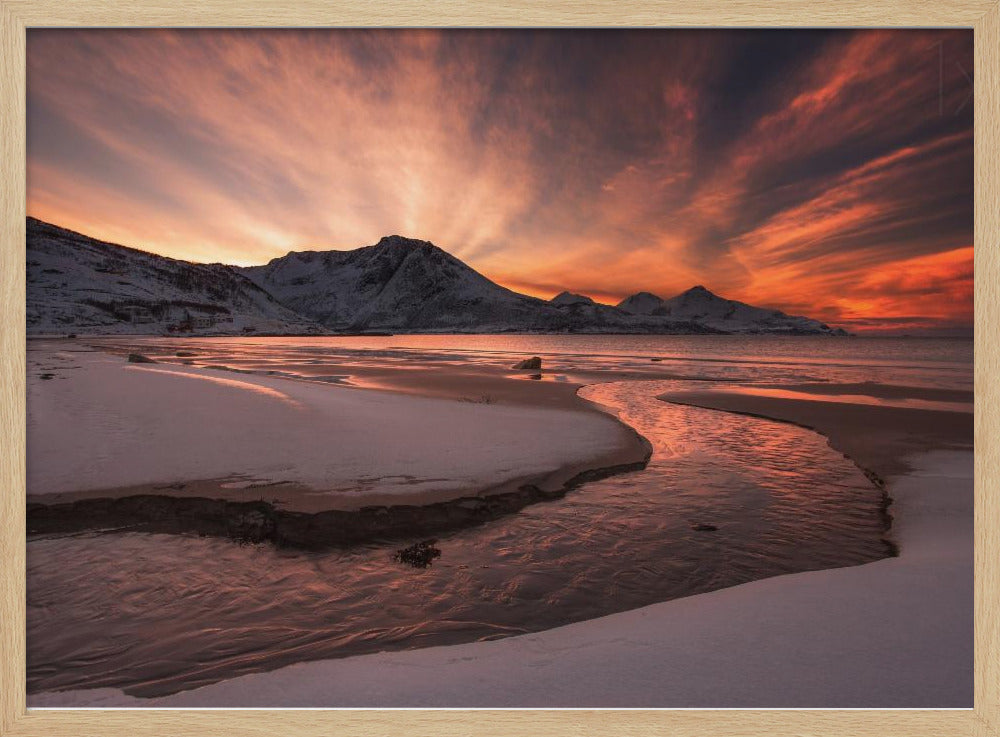 Goldener Sonnenuntergang | Poster