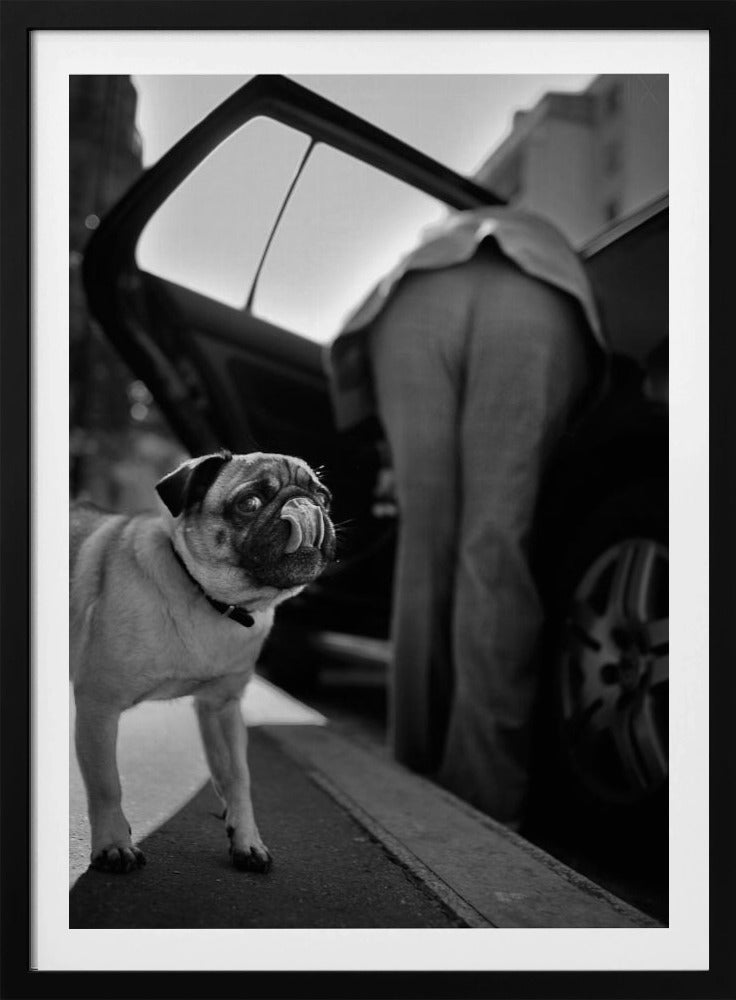 Ohne Titel | Poster