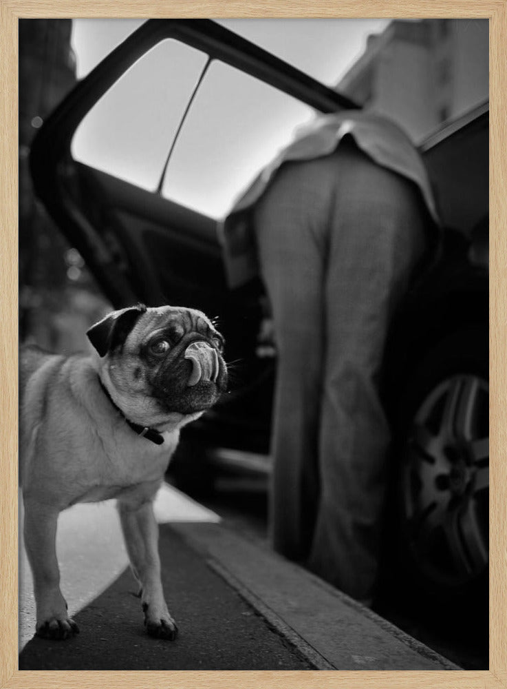 Ohne Titel | Poster