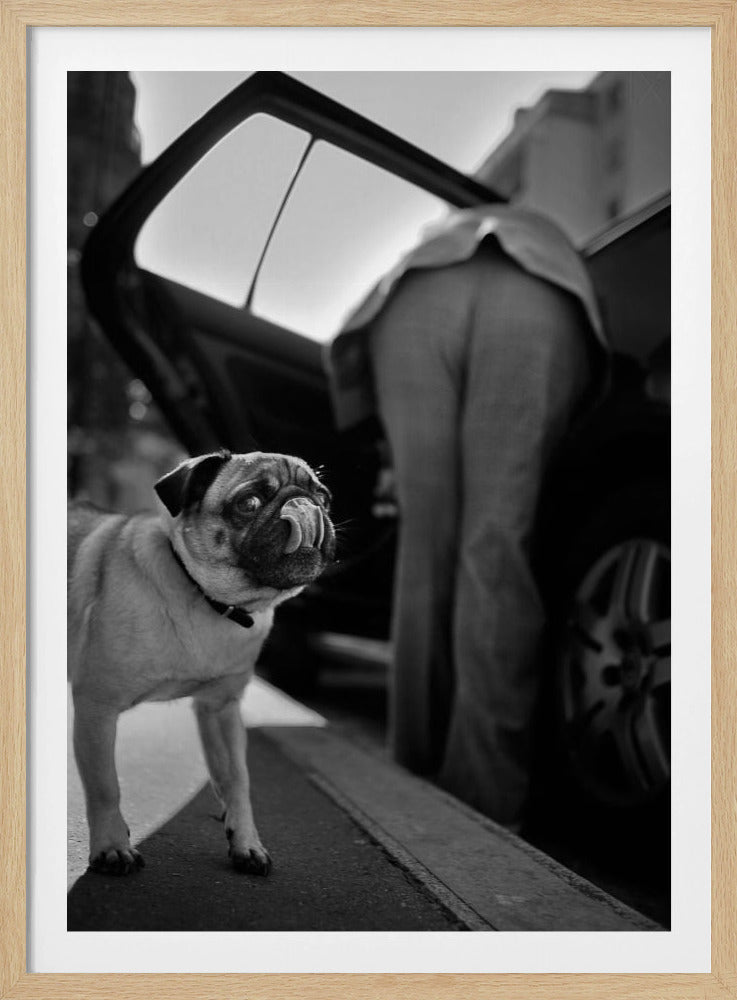 Ohne Titel | Poster