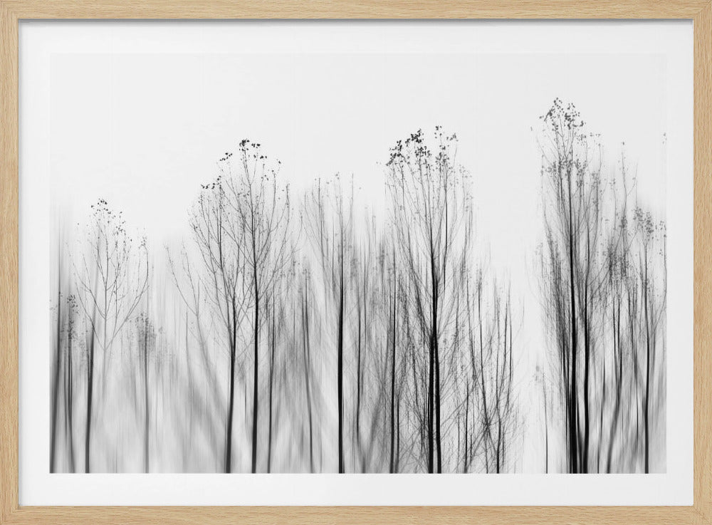 Kein Grund | Poster