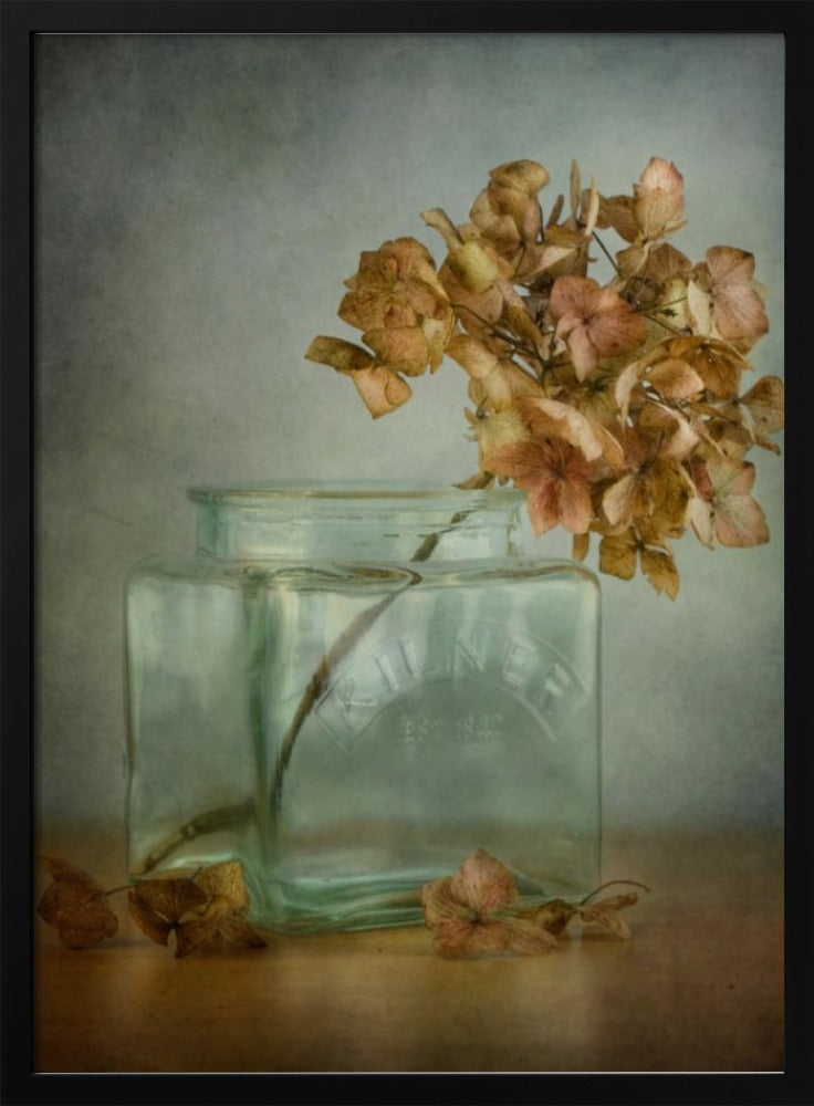 Hortensie | Poster