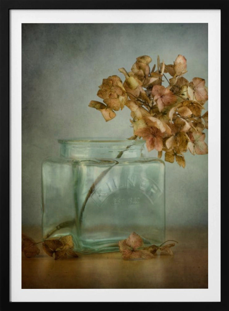 Hortensie | Poster