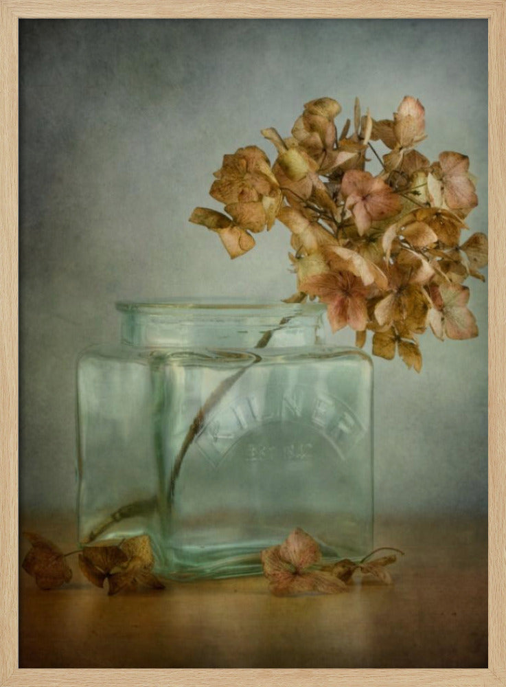 Hortensie | Poster