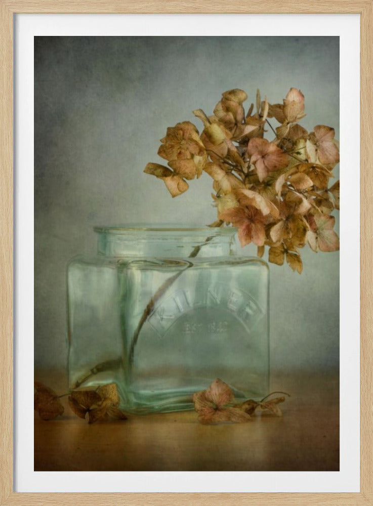 Hortensie | Poster