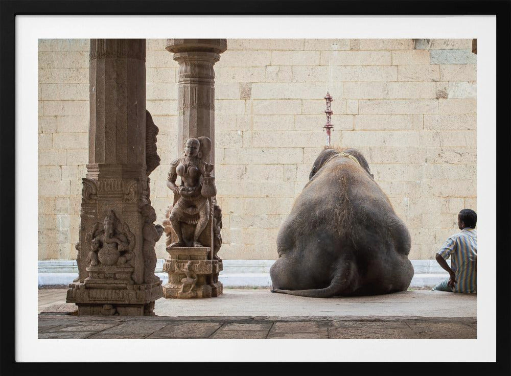 Der Elefant und sein Mahot | Poster