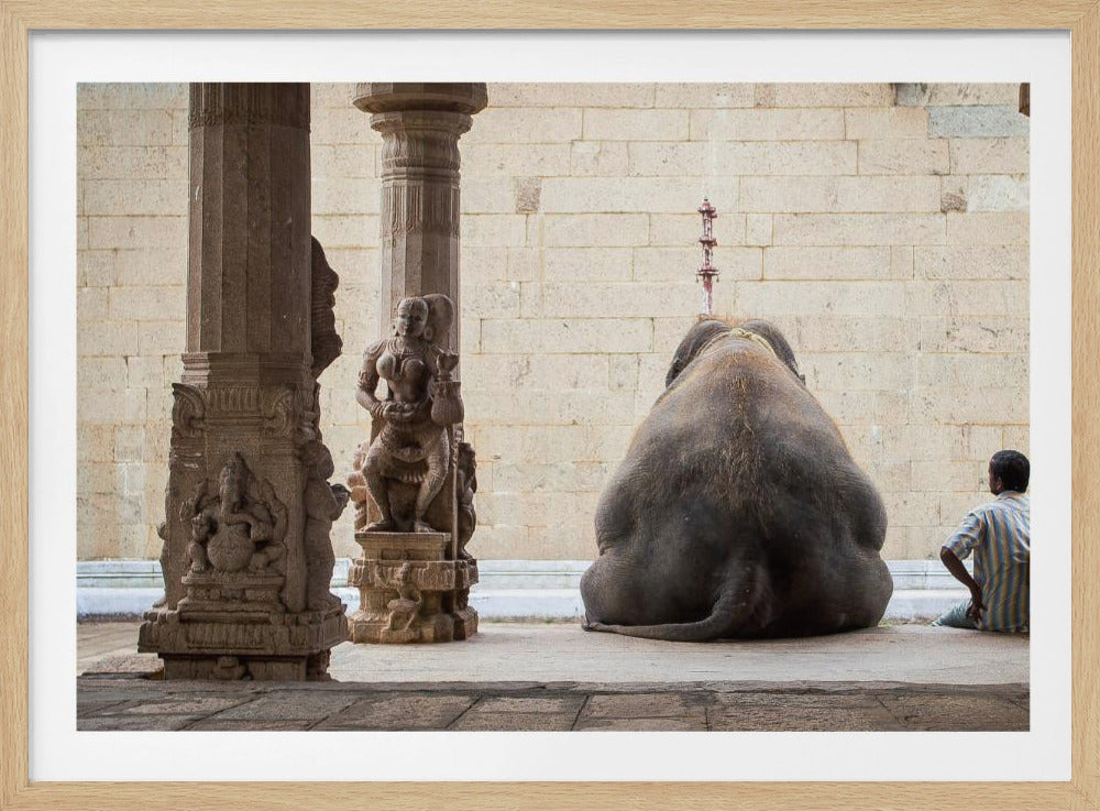 Der Elefant und sein Mahot | Poster