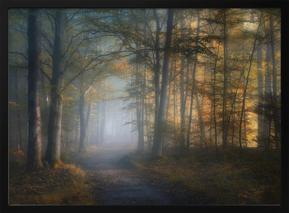 Herbstsinfonie | Poster