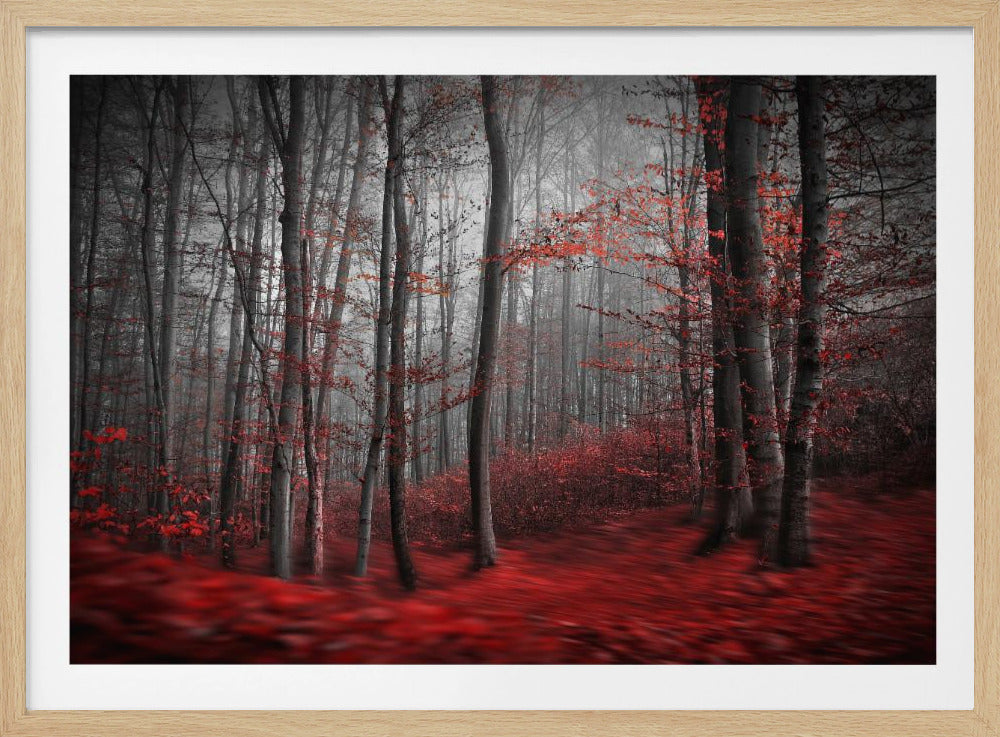 Blutiger Fluss | Poster