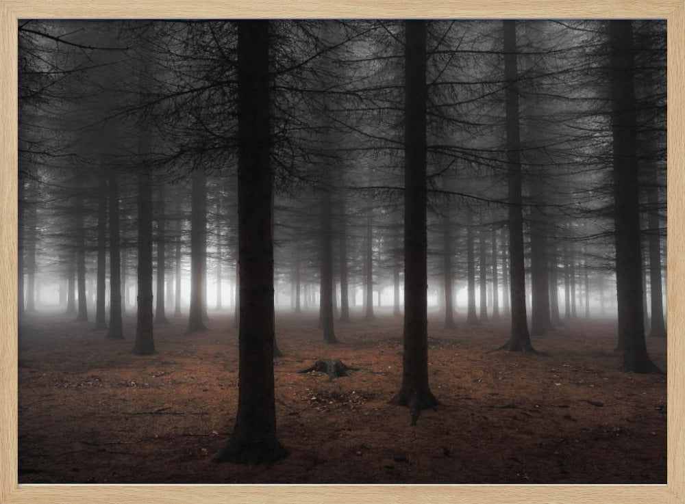Stille | Poster