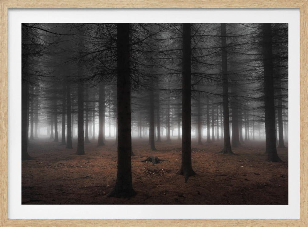 Stille | Poster