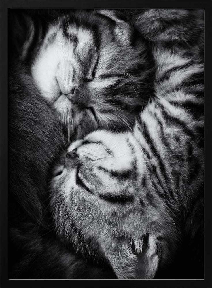 Yin und Yang | Poster