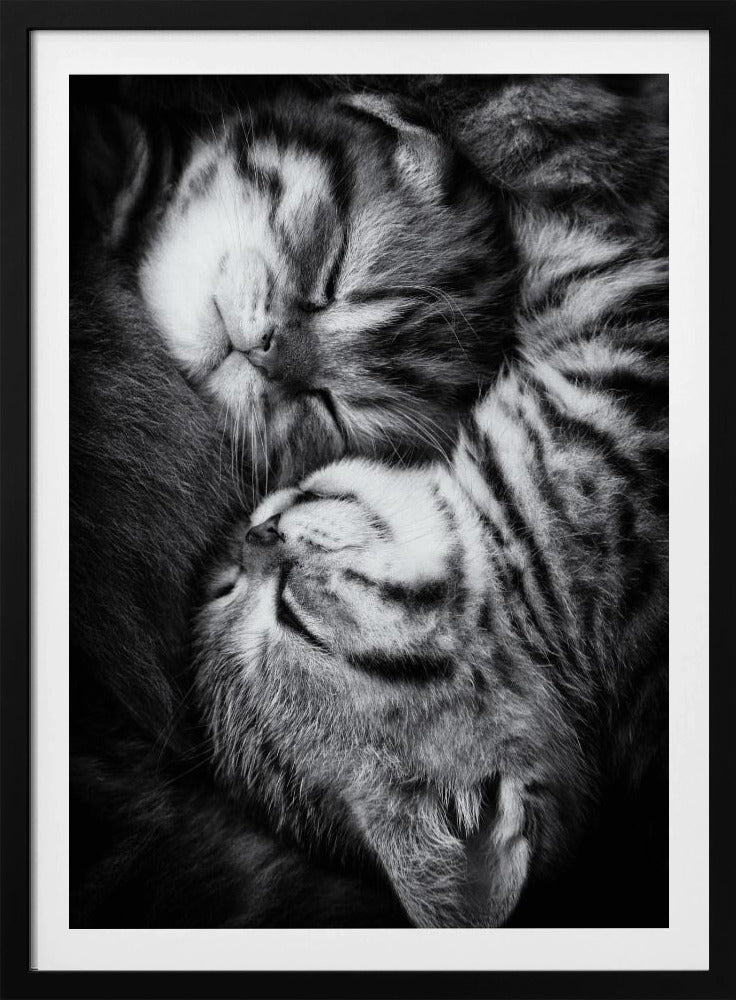 Yin und Yang | Poster