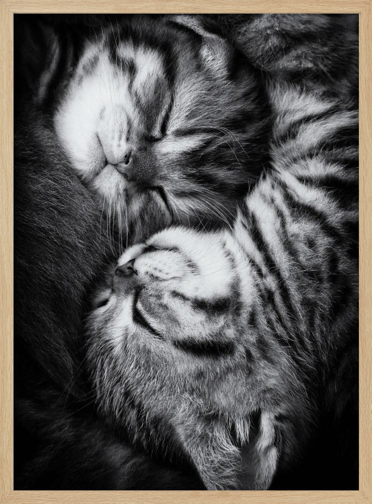 Yin und Yang | Poster