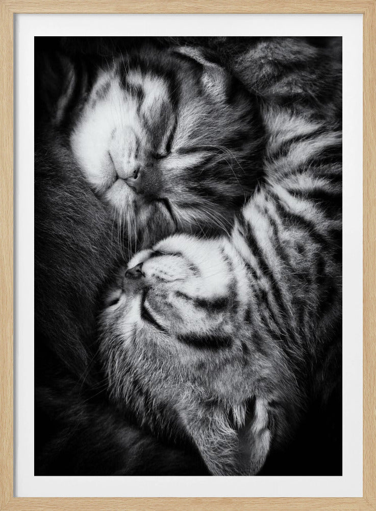 Yin und Yang | Poster