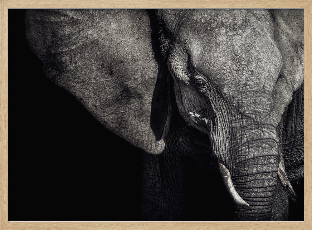 Die Matriarchin | Poster