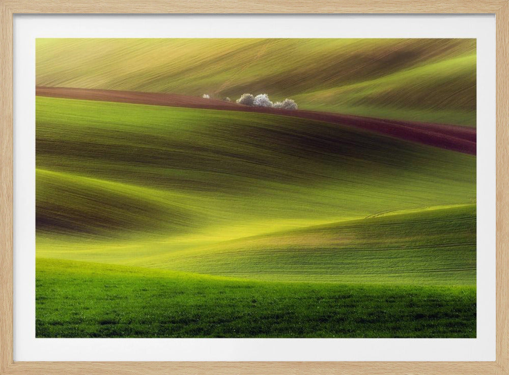 Goldene Felder | Poster