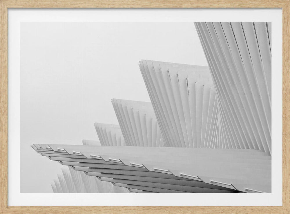 Fliege | Poster