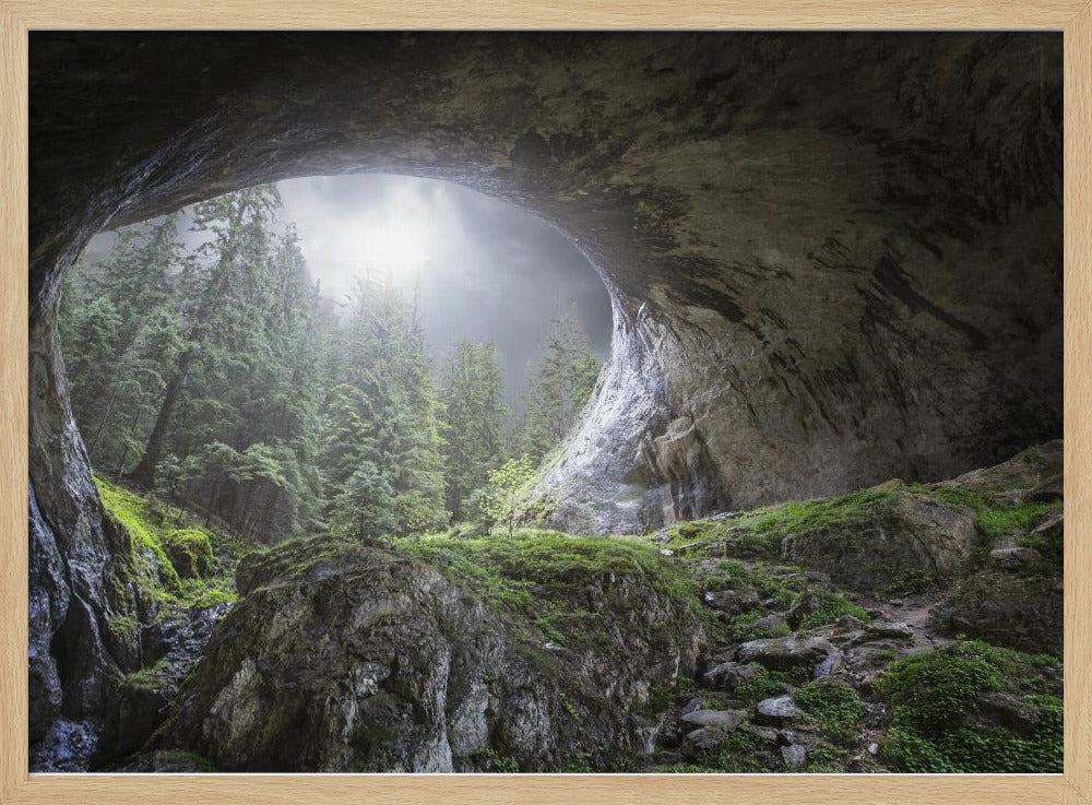 Blick in den Himmel | Poster