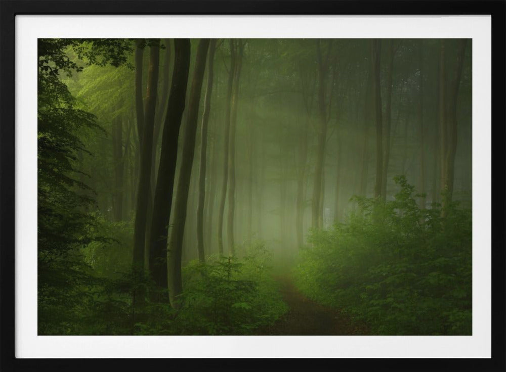 Waldmorgen | Poster