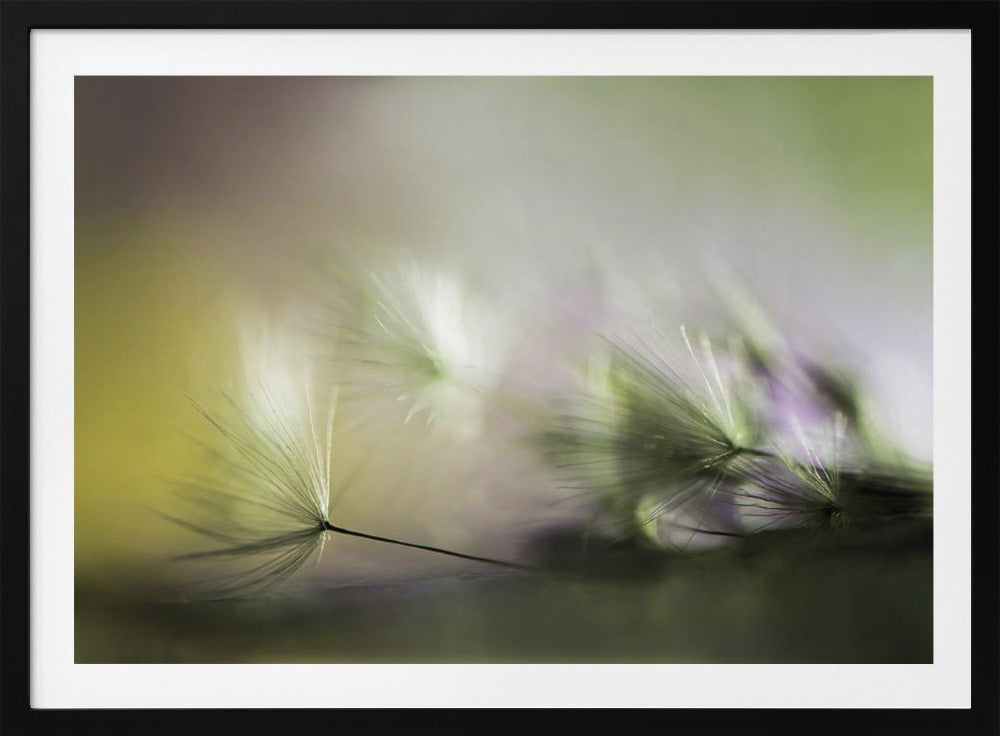 Am Morgen | Poster