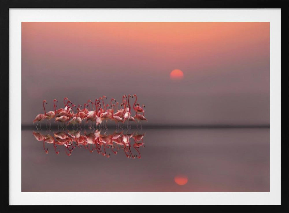 lila Sonnenuntergang | Poster