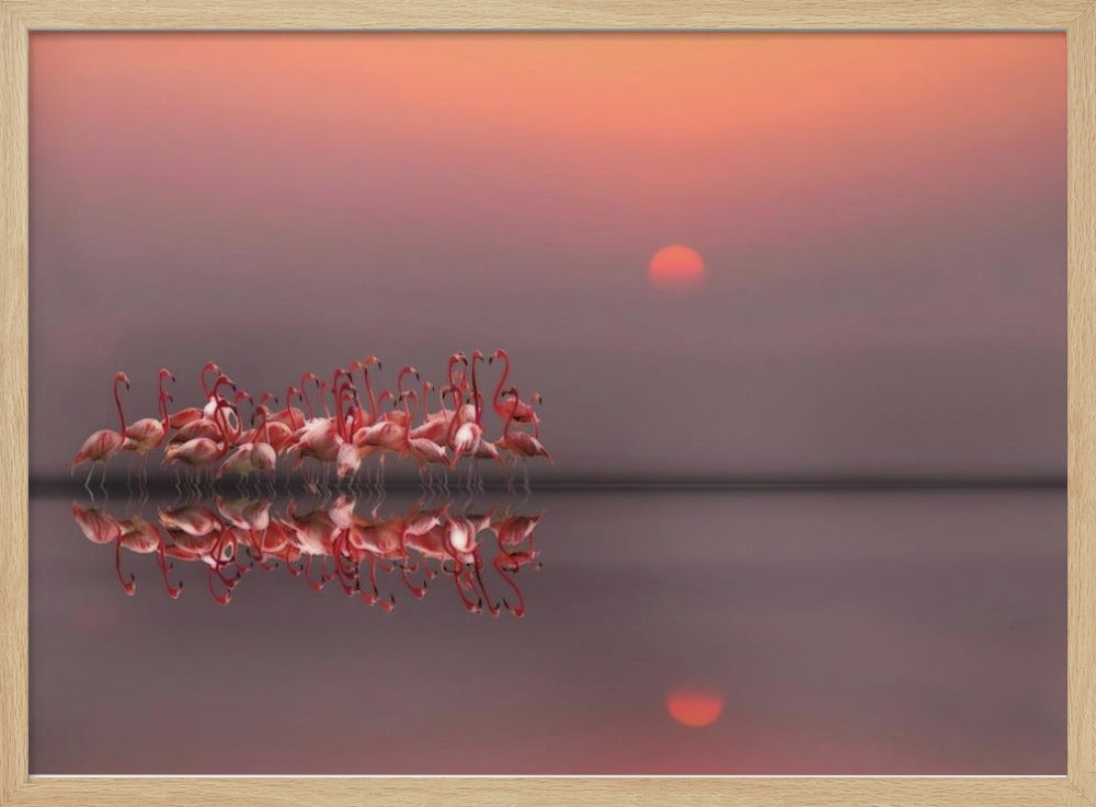 lila Sonnenuntergang | Poster