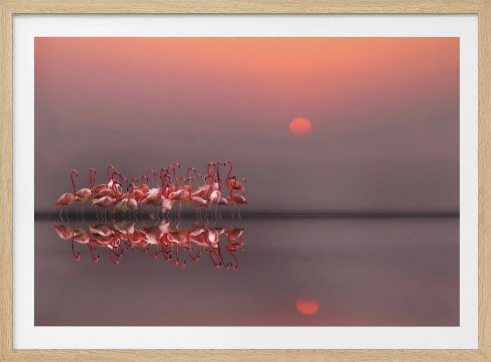 lila Sonnenuntergang | Poster