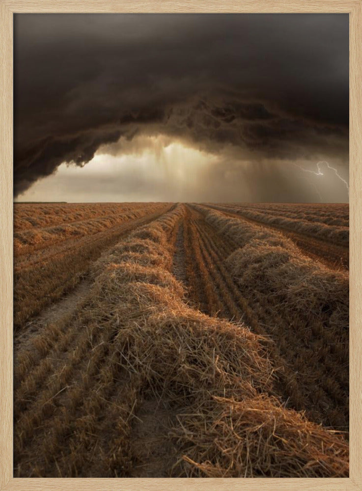 Ohne Titel | Poster