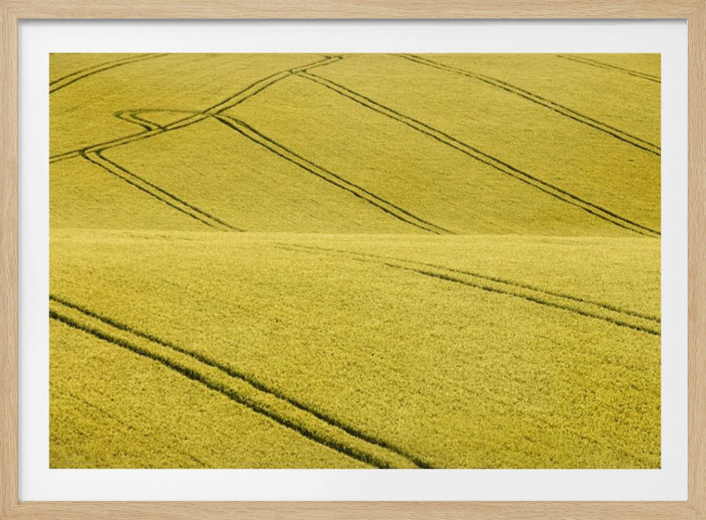 Feld Nr. 2 | Poster