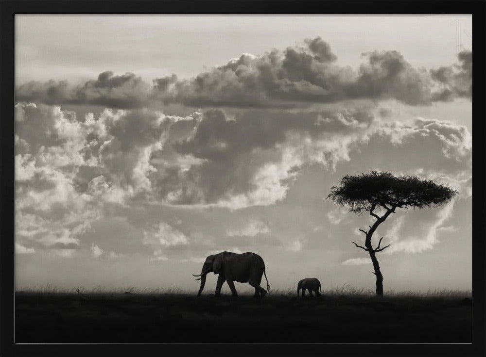 Silhouetten von Mara | Poster