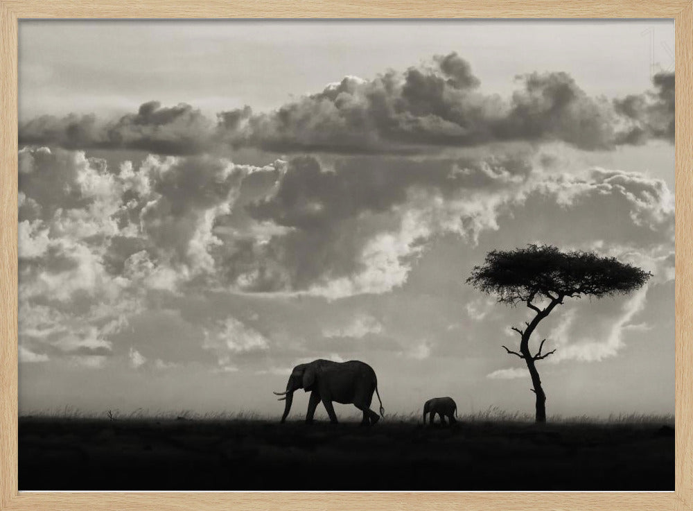 Silhouetten von Mara | Poster
