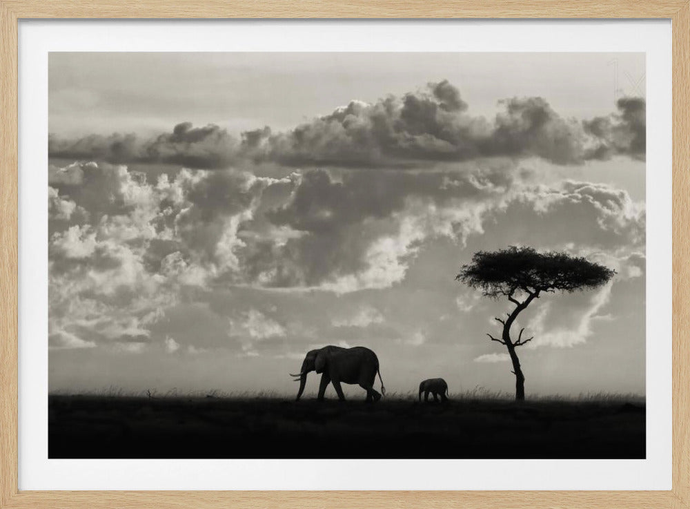 Silhouetten von Mara | Poster
